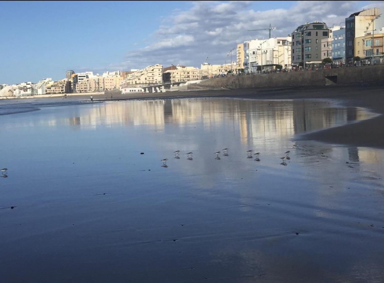 Las Canteras Beach Las Palmas de Gran Canaria Dış mekan fotoğraf