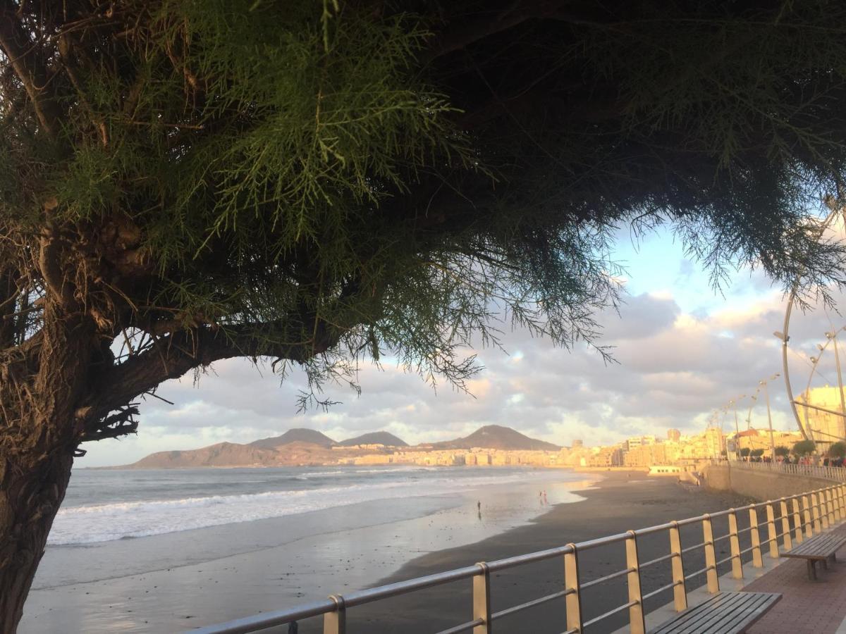Las Canteras Beach Las Palmas de Gran Canaria Dış mekan fotoğraf